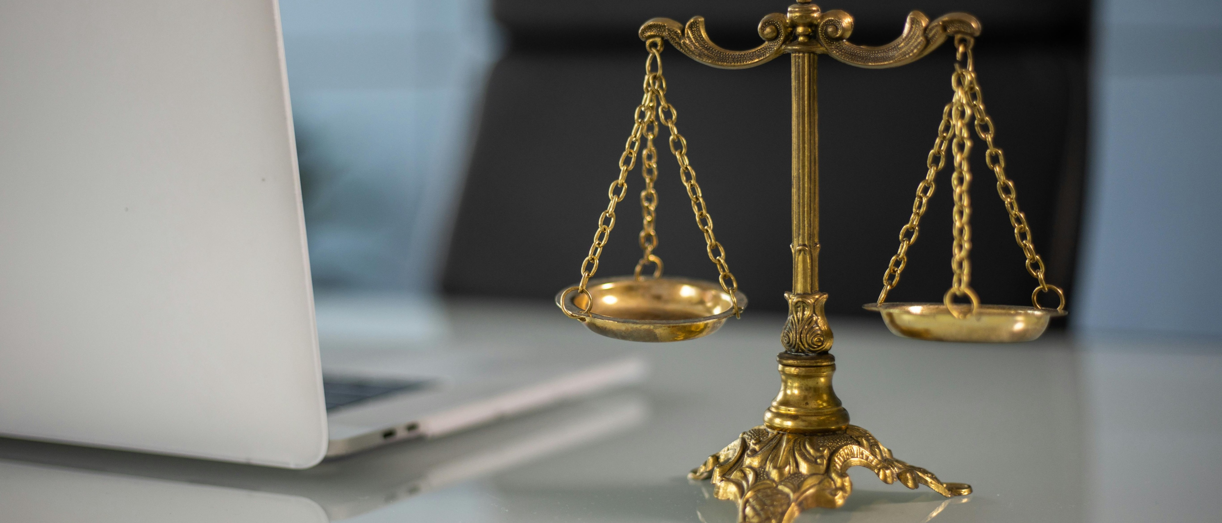 Business and Company Law